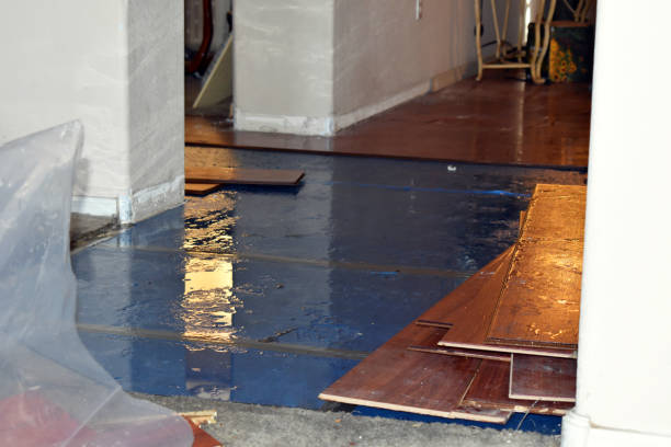 Professional Burst Pipe Cleanup technician working in Alpine, NJ